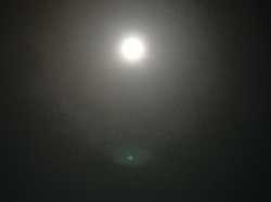 Illustration de la galerie