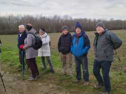 Illustration de la galerie