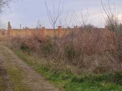 Illustration de la galerie