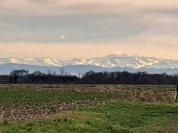 Illustration de la galerie