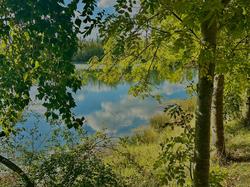 Illustration de la galerie