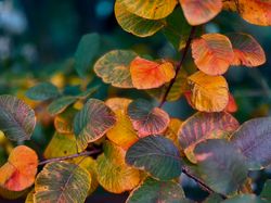 Illustration de la galerie