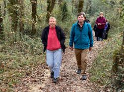 Illustration de la galerie