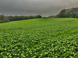 Illustration de la galerie