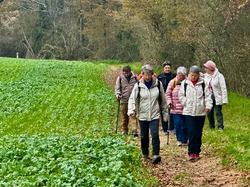 Illustration de la galerie