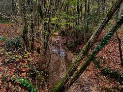 Illustration de la galerie