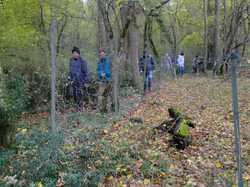 Illustration de la galerie