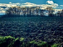 Illustration de la galerie