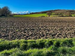 Illustration de la galerie