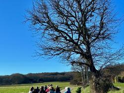 Illustration de la galerie