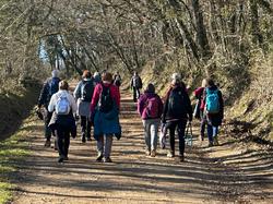 Illustration de la galerie