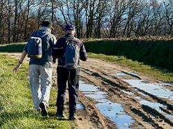 Illustration de la galerie