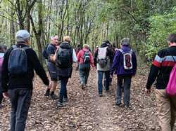 Illustration de la galerie