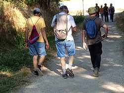 Illustration de la galerie