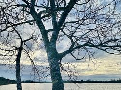 Illustration de la galerie