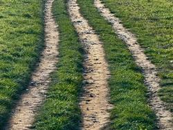 Illustration de la galerie