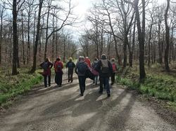 Illustration de la galerie